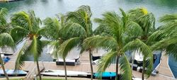 The Berth By The Cove (D4), Condominium #536619871
